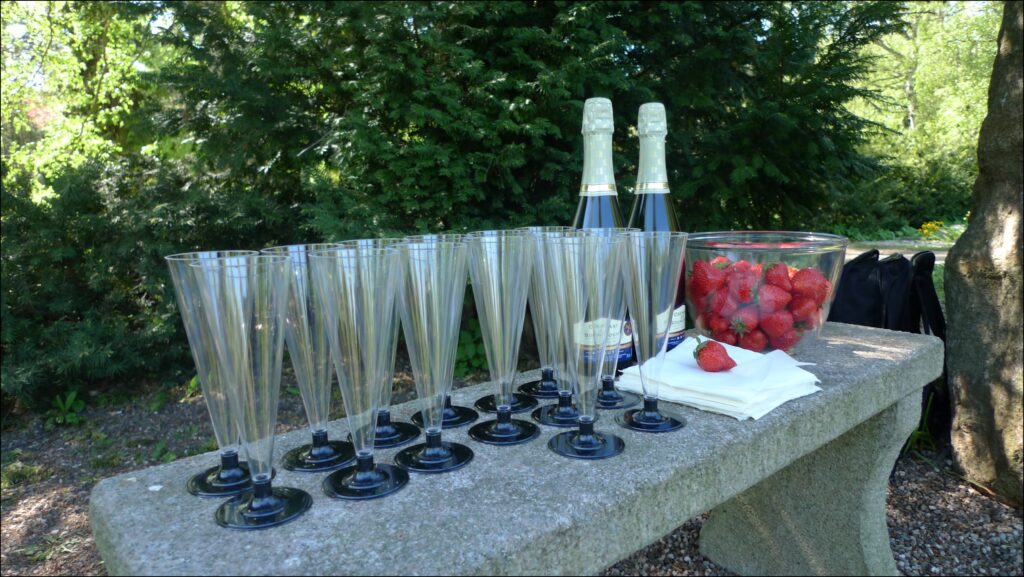 Champagne og jordbær